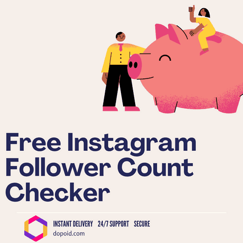 Free Instagram Follower Counter