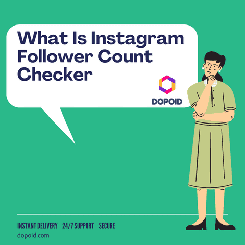 Instagram Follower Count Checker
