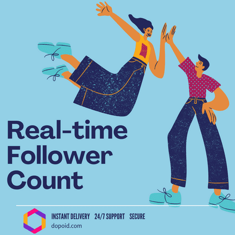 Real-time Instagram Follower Count