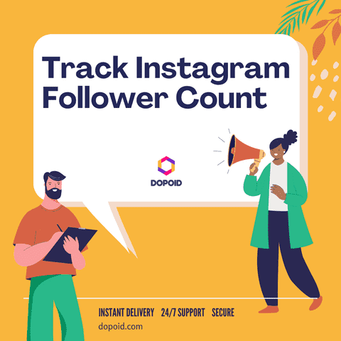 Track Instagram Follower Count